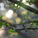 2025042期双色球开奖结果最新公布,快来看看你中奖了吗? 05crhsuh