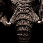 2025060期3d开奖结果最新公布,快来看看中奖号码! 2yu79t7g