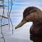 3冂开奖号最新公布结果与中奖详情 6nxp6xo