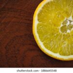 2025042期双色球开奖结果最新公布 bn39u