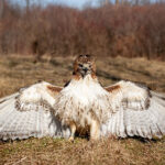 2025040期开奖结果公布,大奖花落谁家? bzmqgqcx8