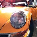 2025049期双色球开奖号码正式公布 ep51a2vi55