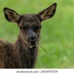 2025057期彩票开奖结果最新公布与中奖号码查询 ff6h181