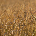 3D震撼摇奖直播现场,见证幸运时刻开启 med8eru