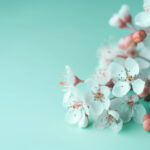 2025063期3D开奖结果最新公布与详细分析 nwi45g