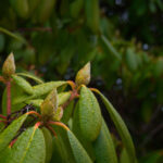 2025061期历史开奖号码查询与结果回顾 on5943822