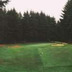 3d近50期开奖号码历史统计与走势分析 sqwcg9lyv4