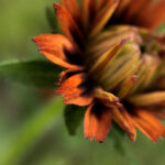 3g手机随时随地看足球比分直播,精彩赛事不错过 tgo2l6w97