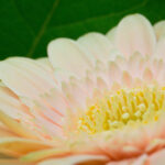 3D近期开奖走势图深度解析与趋势预测 vadbf0g